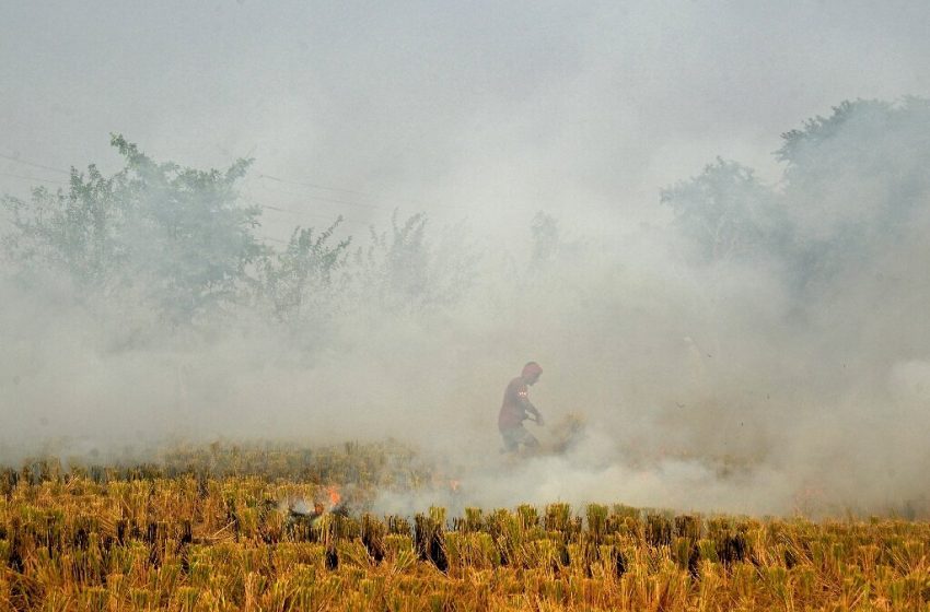  В столице Индии закрыли начальные школы из-за токсичного смога