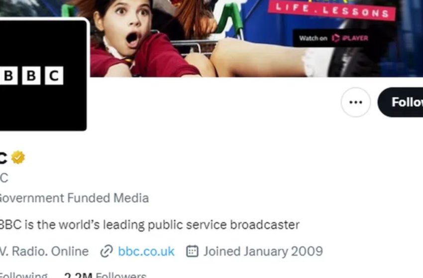  Илон Маск и мировые СМИ