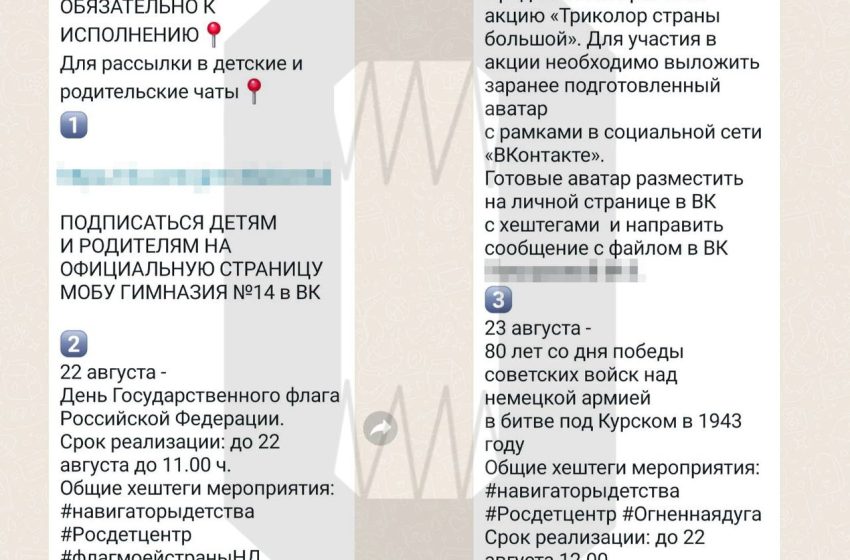 Детей в Башкирии заставляют ставить аватарки с триколором