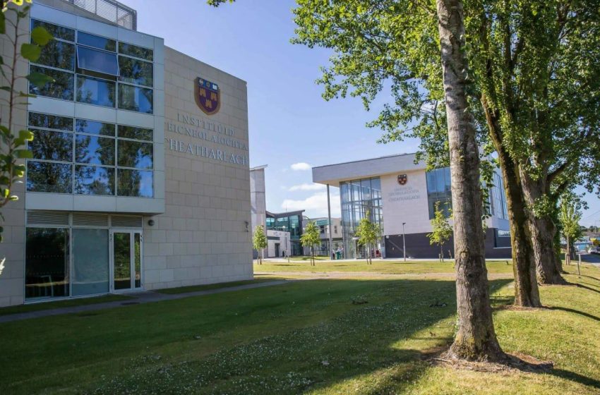  Ирландский университет позволит получить степень «бакалавра инфлюенсинга»