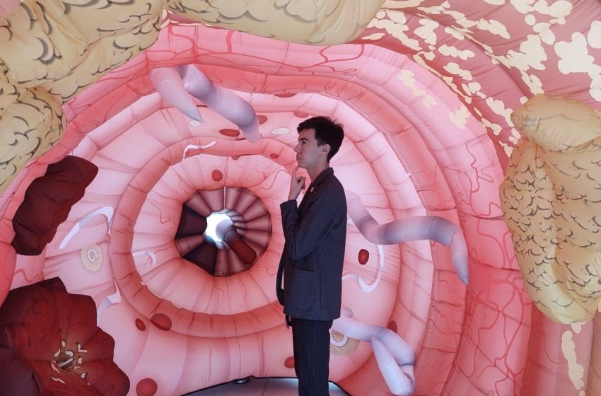  В ТЦ Екатеринбурга установили фотозону в виде прямой кишки