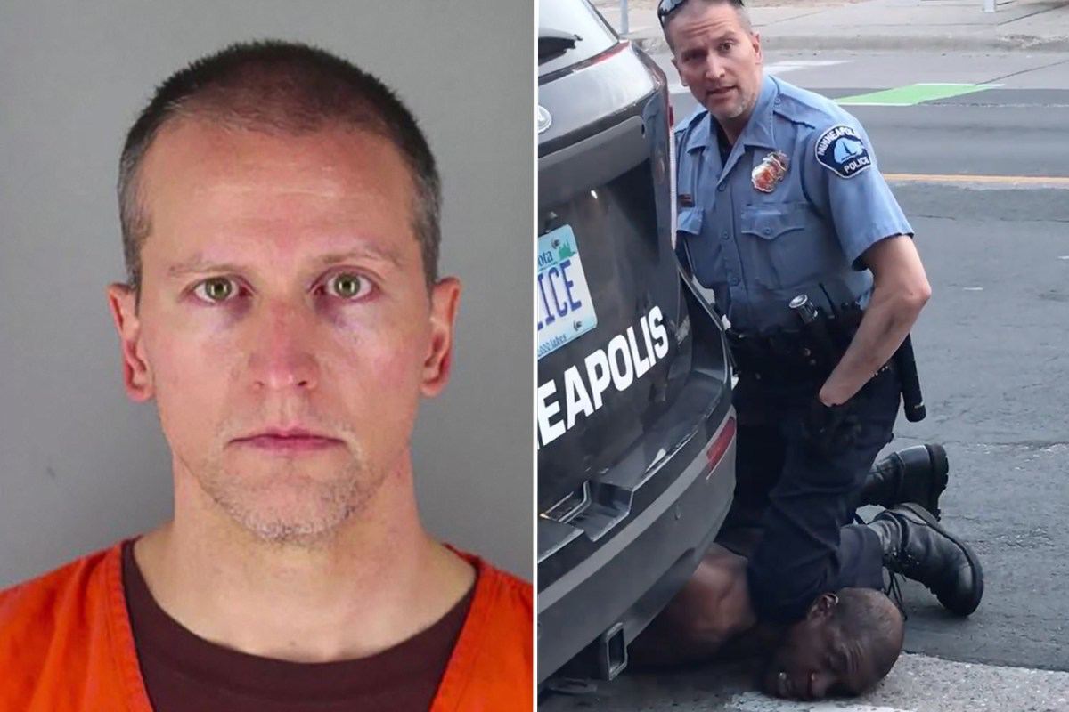 дерек шовин