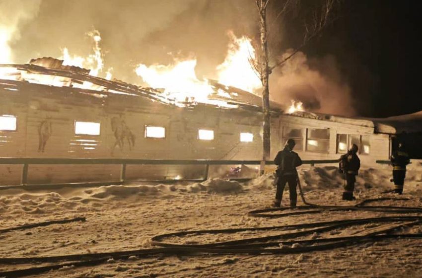  В парке Лосиный остров сгорела конюшня, погибли лошади