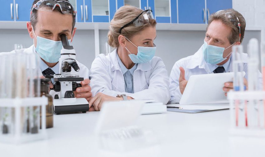  Ведущий американский онкоцентр пытается отозвать или исправить десятки опубликованных в научных журналах исследований — ошибки в работах нашел британский биолог и блогер