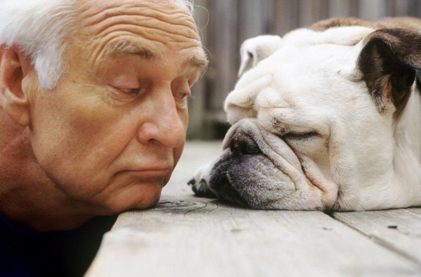  Домашние животные помогают снизить риск развития деменции