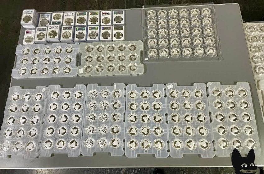  Турист из Китая пытался провезти коллекцию монет на миллион рублей