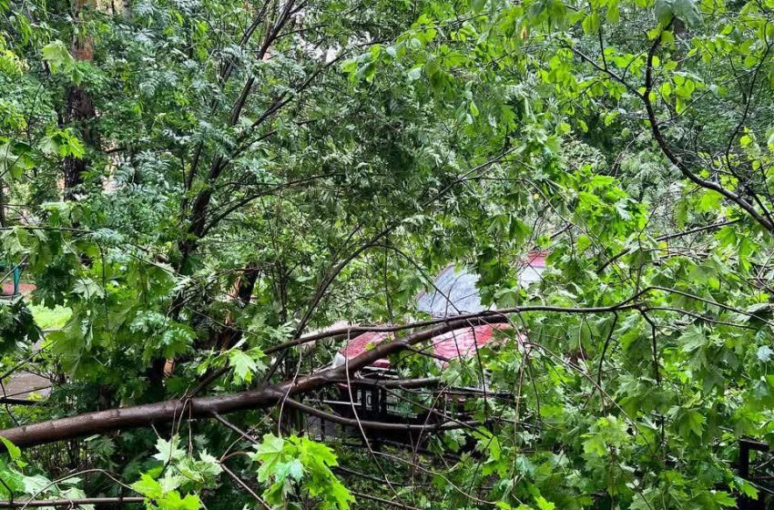  Два человека погибли после урагана в Москве