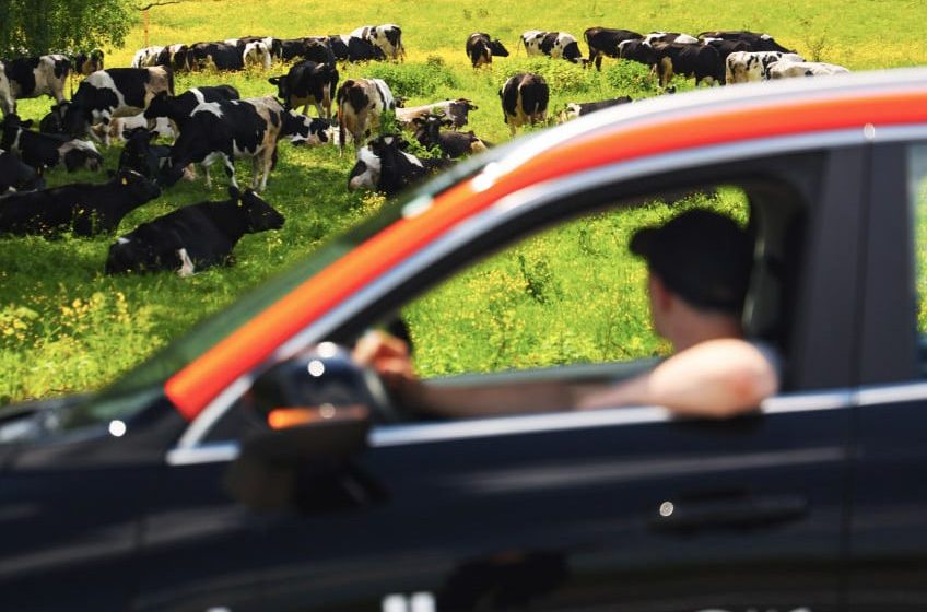  В Подмосковье запустили «Умные путешествия» на каршерингах.