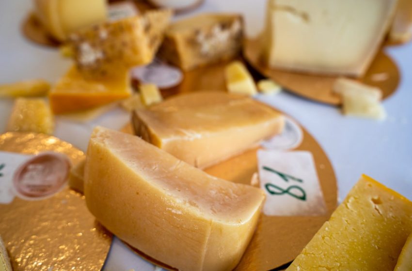  В Подмосковье пройдет «Сырный чемпионат России».