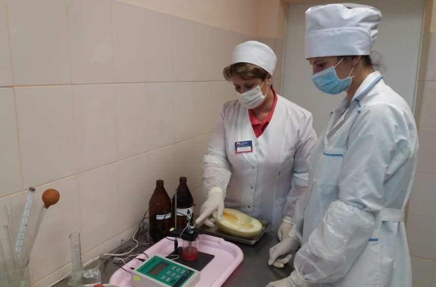  Почти 82 тысячи лабораторных исследований фруктов, ягод и бахчевых проверили в Подмосковье.