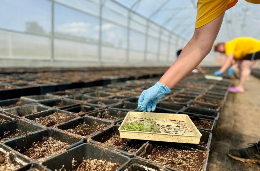  В Подмосковье начали принимать заявки на субсидии для развития сельского хозяйства. 