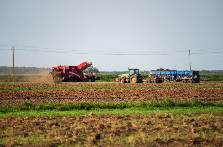  Подмосковный Зарайск занял первое место по сбору масличных культур.