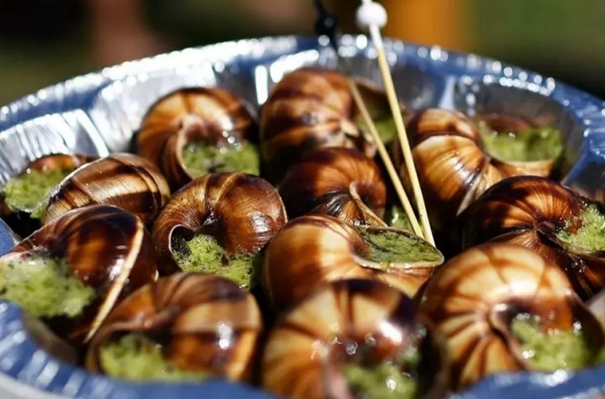  В Подмосковье фермер стал основателем российского Союза улитководов. 