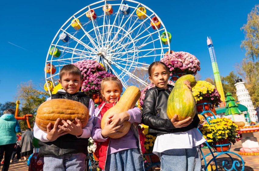  В 50 парках Подмосковье пройдут праздники к честь Дня урожая. 
