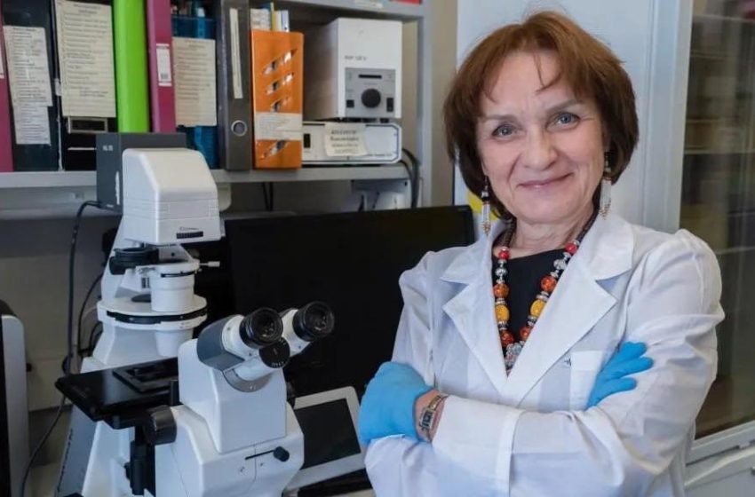  В Подмосковье ученые создали экосредство для защиты картофеля и пшеницы от инфекций. 