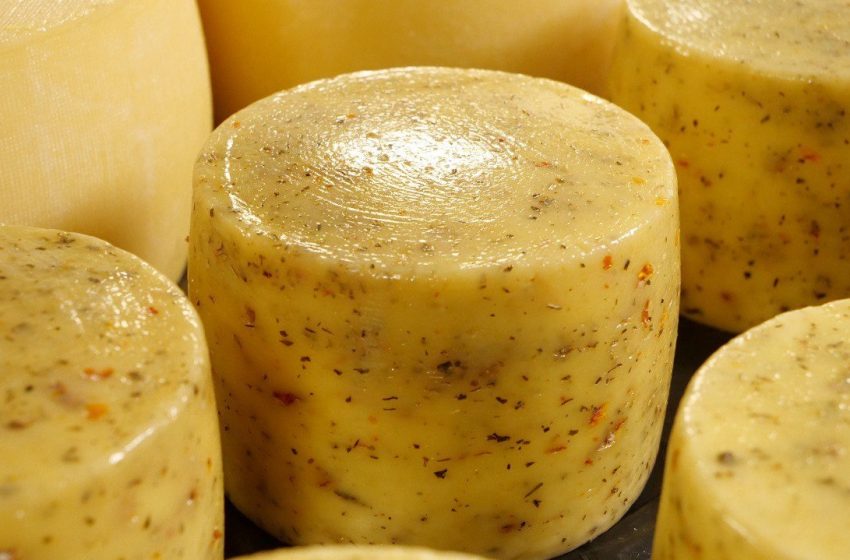  Подмосковный сыр победил на международном конкурсе Cheese Open.