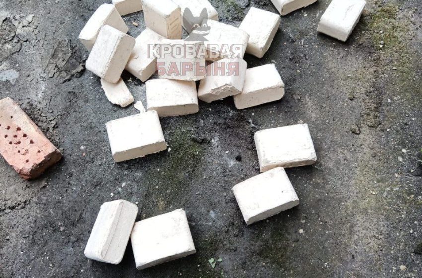  Псковские таможенники нашли более 110 кг экстази в фуре