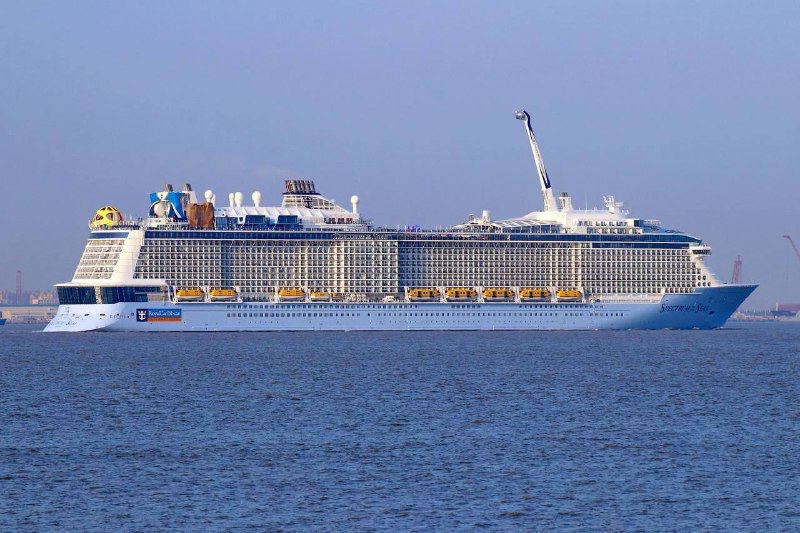  Около 600 россиян застряли на круизном лайнере в Японии