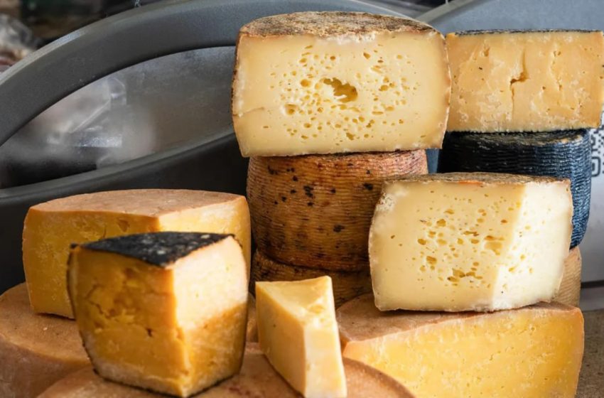  «В результате брожения заквасок из молока выделяется углекислый газ, образуя в плотной сырной массе пузыри»