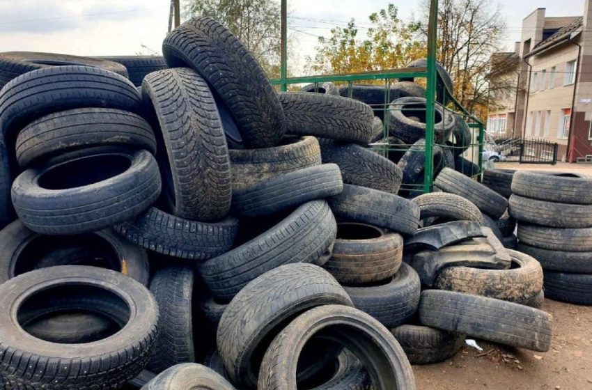  В Подмосковье продлили экологическую акцию по утилизации отходов. 