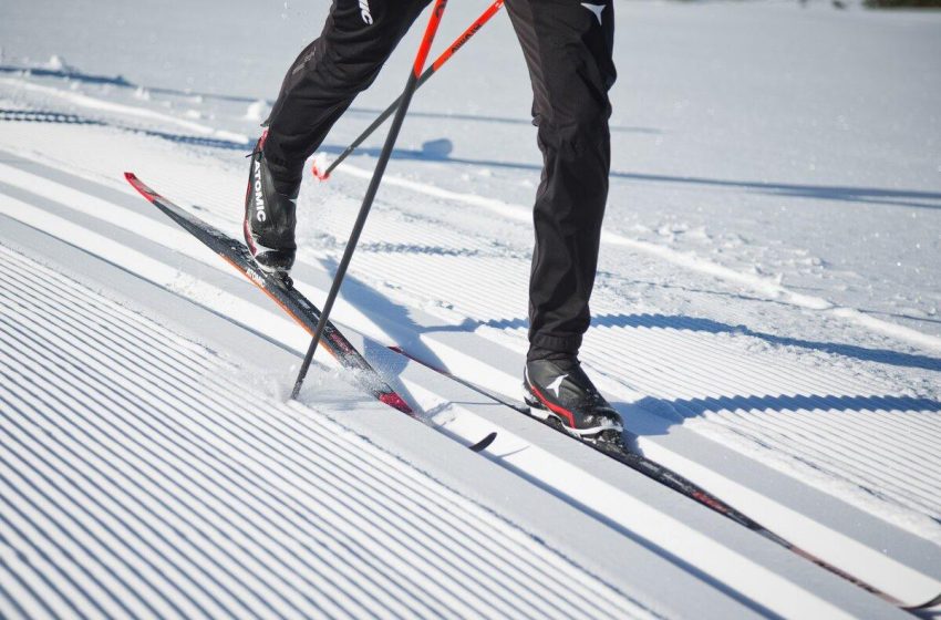  В Подмосковье зимой пройдет серия лыжных гонок. 