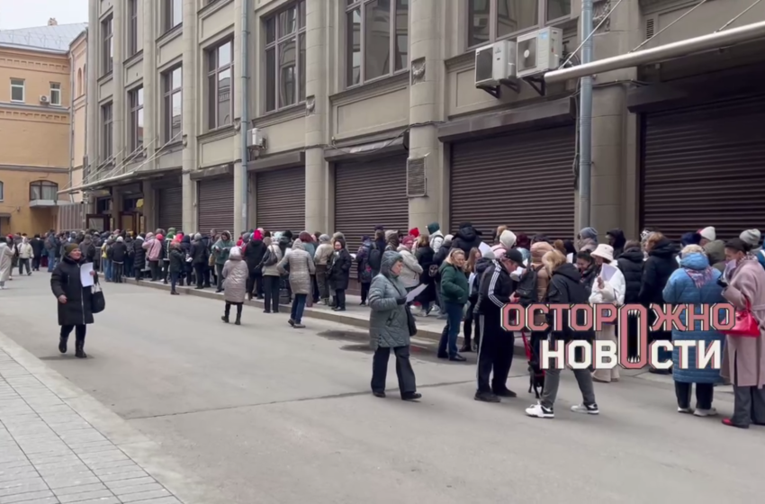  Москвичи пришли к приемной президента, чтобы подать обращение против «убийства бездомных животных» 