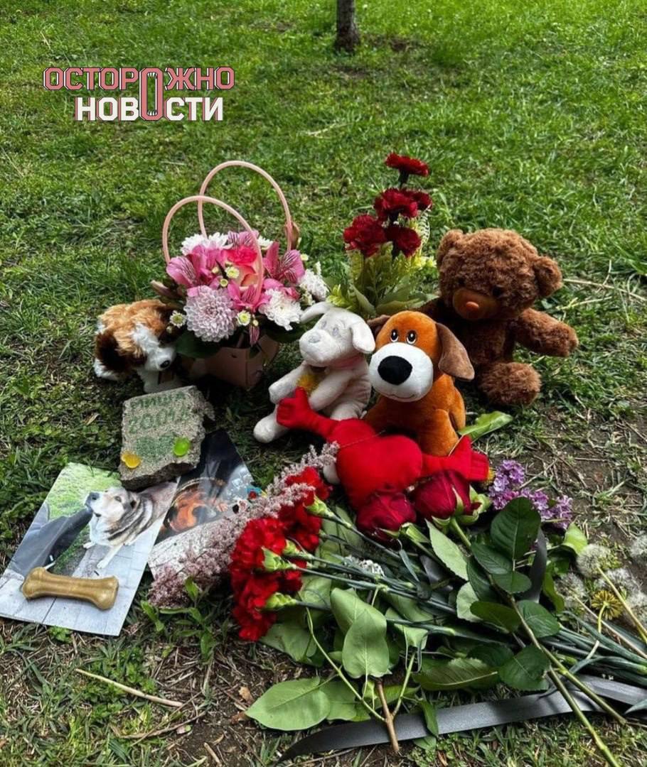мемориал