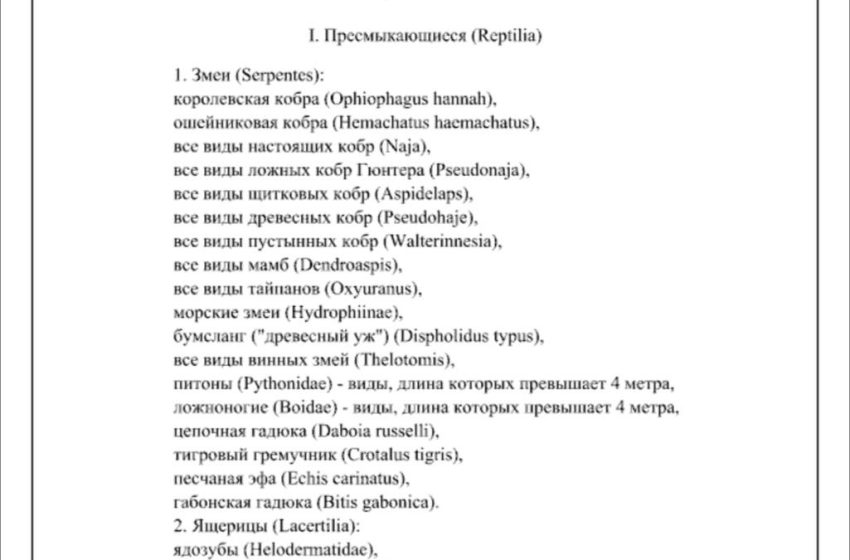  Россиянам запретили держать дома тигров