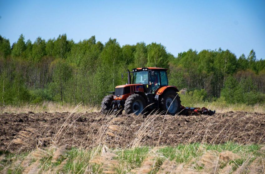  Более 110 фермеров в Подмосковье получили гранты на развитие сельского хозяйства.