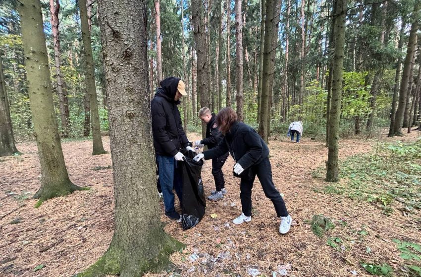  В Подмосковье прошла масштабная экологическая акция «Чистый лес». ￼