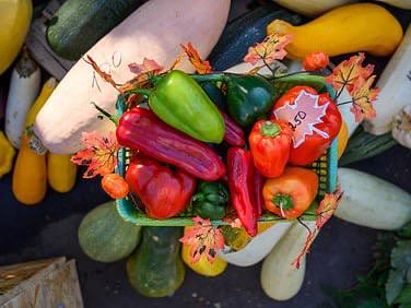  В Подмосковье откроются осенние ярмарки с фермерскими продуктами.