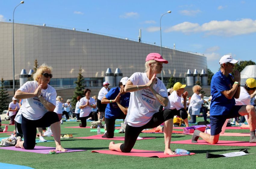 Участниками «Активного долголетия» стали свыше 500 тысяч жителей Подмосковья.