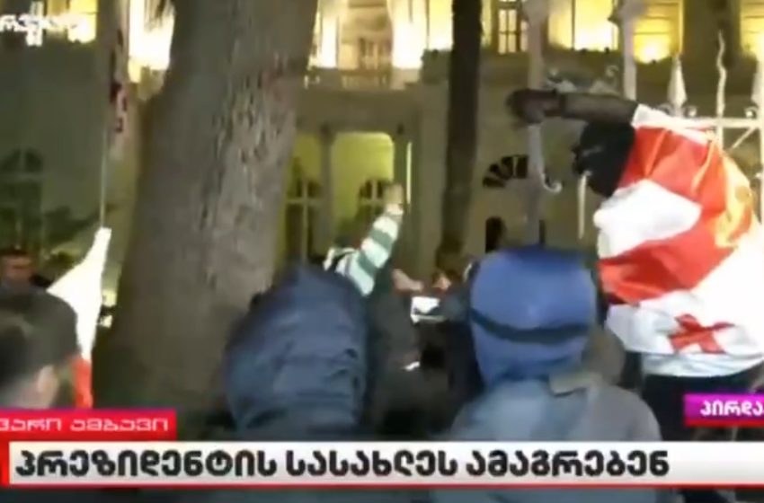  В Грузии проходит масштабный митинг