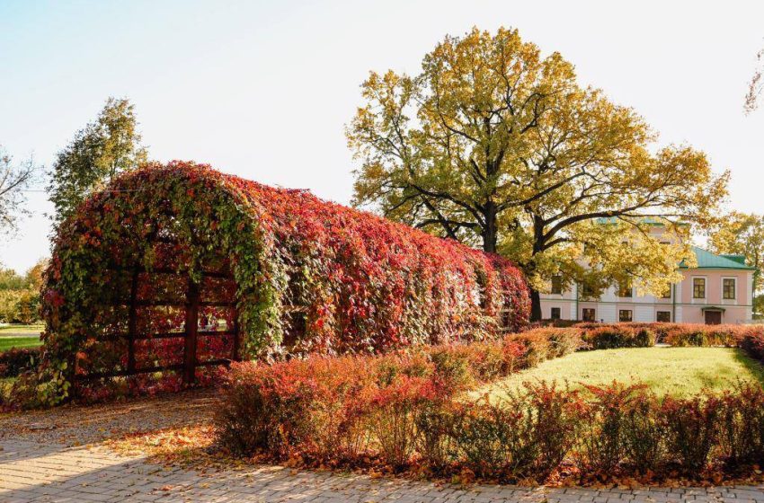  Виар-туры по паркам Подмосковья появились на портале welcome.mosreg.ru.