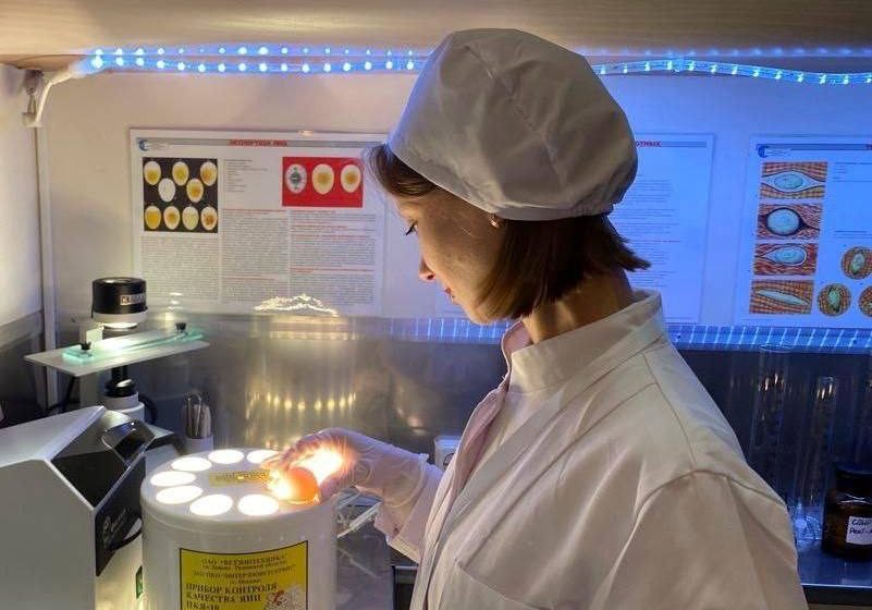  Ветеринары проверили безопасность яиц на ярмарках Подмосковья.