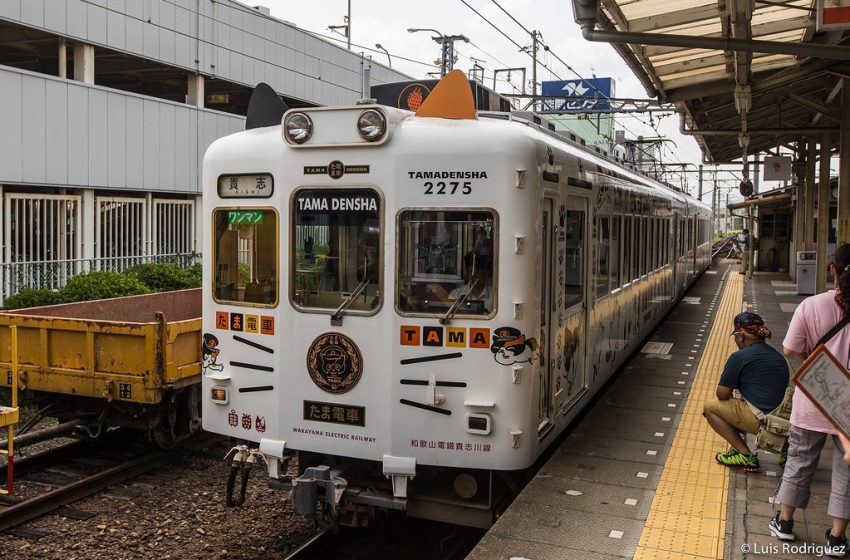  В Японии умерла кошка Нитама — она десять лет работала смотрителем вокзала в городе Кинокава