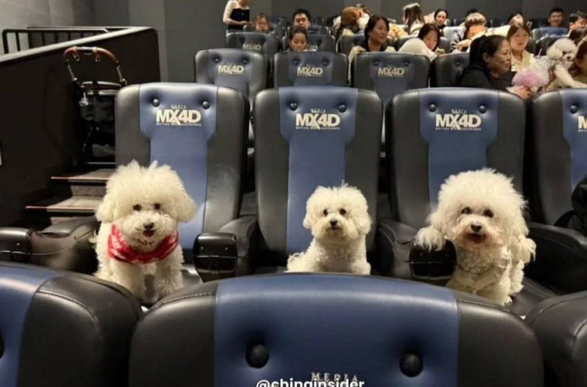  Мультфильм «Зверополис 2» бьет рекорды по кассовым сборам — $556 млн за первый уикенд