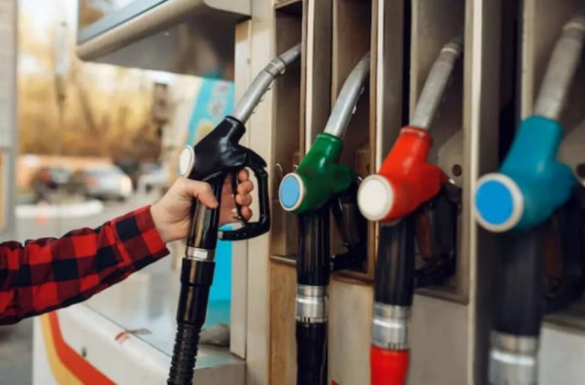  В России многодетным семьям могут ввести льготы на бензин