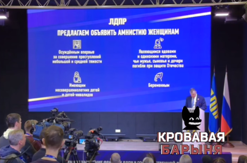  В ЛДПР предложили объявить амнистию в честь Дня матери