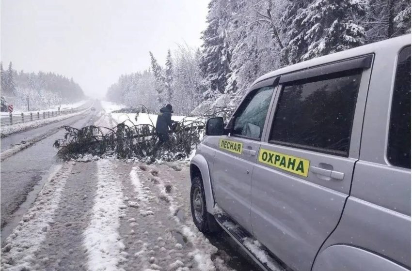 Продолжается ликвидация последствий снегопада в Подмосковье